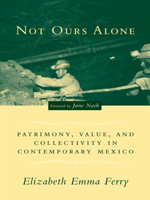 cover image of Not Ours Alone